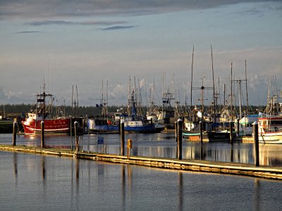 Fishing Boats - Winchester Bay, Oregon