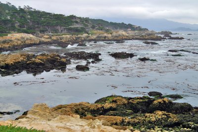 17 Mile Drive - Big Houses