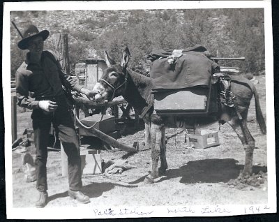 Dad Donkey Packing.jpg