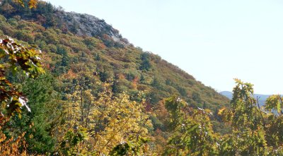 Bald Knob above 2.jpg