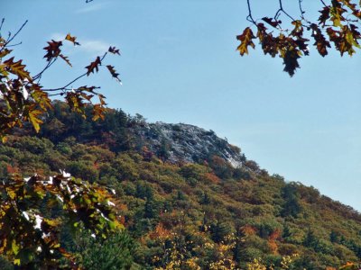 DSCF2602a.jpg
