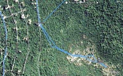 Avery Hill trail Google.jpg