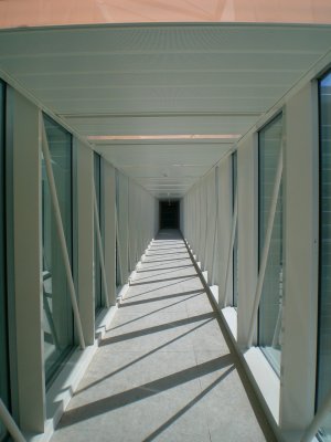 CIMG0143.jpg