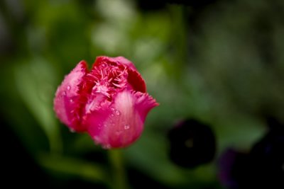 g5/80/343280/3/106031736.L4PqzdHf.jpg