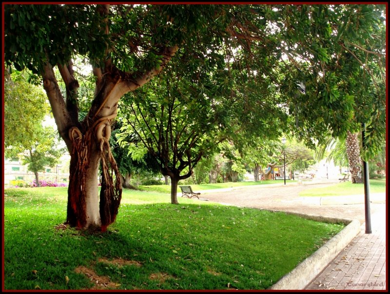 Park in La Paz, Tenerife (2).jpg