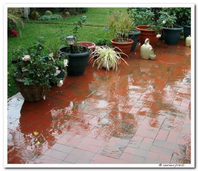 patio rain.jpg