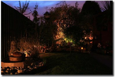 Garden at Dusk 2