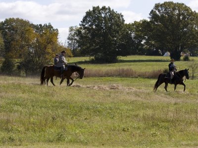 IMG_1073.jpg