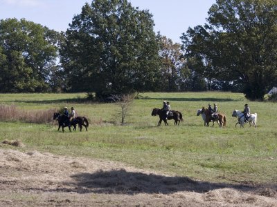 IMG_1089.jpg