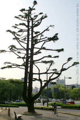 Hiroshima 01.JPG