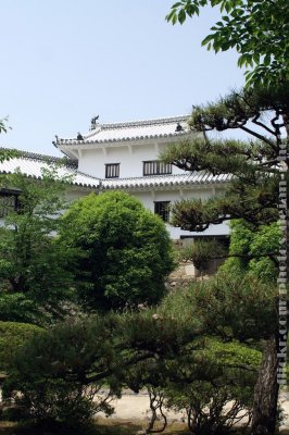 g5/80/489980/3/99807239.luuW8bSu.jpg