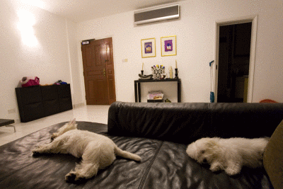 IMG_6268_6270.gif