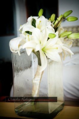White tropical lilies. Photo by Claudia, Claudia Rodriguez Photography