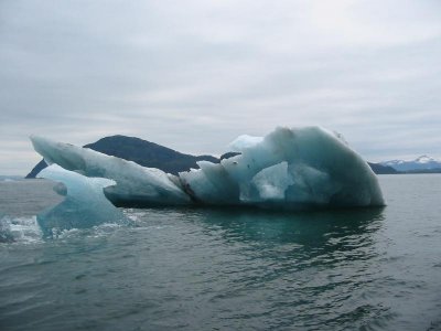 Ice from the Columbia Glacier