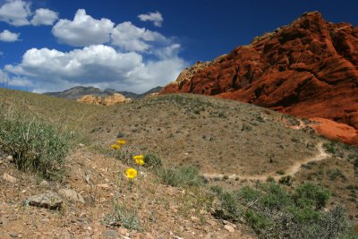 Red Rock State Park