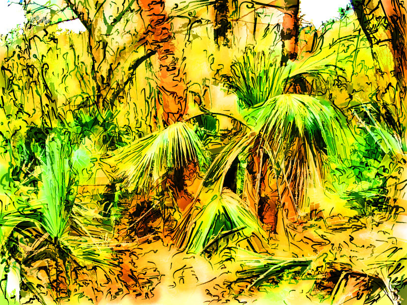 Florida Park drawing.jpg