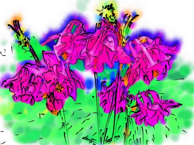 Pink Flower Drawing.jpg