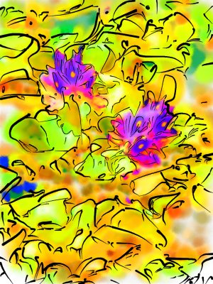 Water Hyacinth Drawing copy.jpg