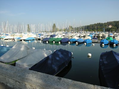 The Black Harbour,    Geneva.
