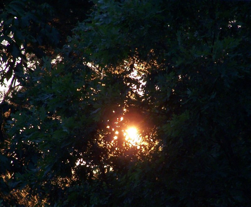 I Think I Saw...