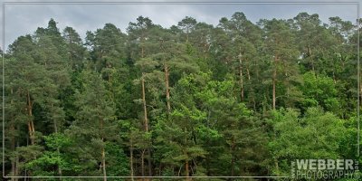 D080603-017BWRA.jpg