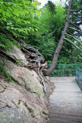 High Falls Gorge