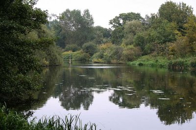 Kingston Maurward Gardens