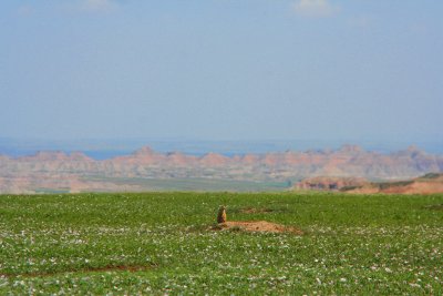 BADLANDS OF SOUTH DAKOTA