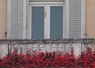 Flowered windows