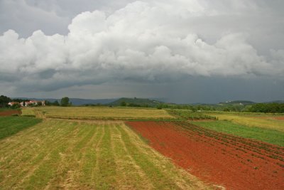 Croatian fields