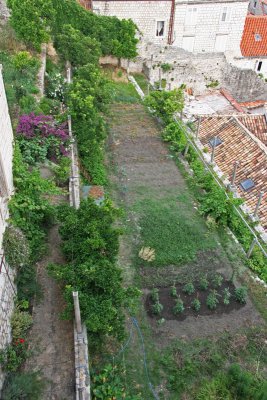 Garden within city walls