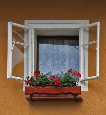 Window Red Geraniums