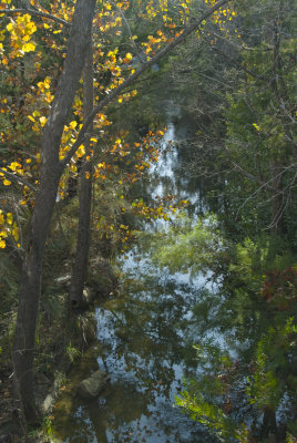 Hurst Creek in Fall