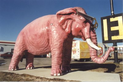 Pink Elephant, DeForest, WI.jpg