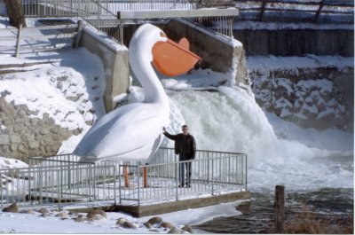 Worlds Largest Pelican, Pelican Rapids MN.jpg
