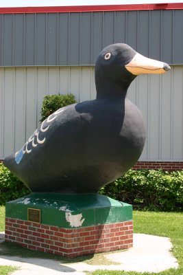 Original Black Duck, Black Duck MN.jpg