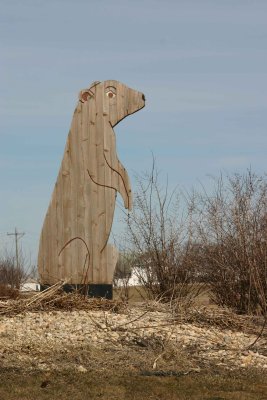 Prairie Dog, Luverne MN.jpg