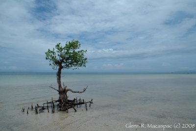 Low tide