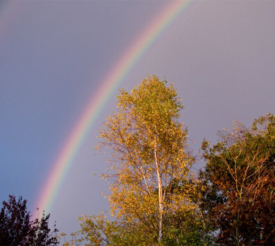 Rainbow at the end of the -garden -22 Oct 2009