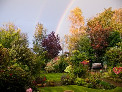 Garden rainbow 22 October 2009