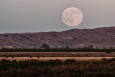 Moonrise