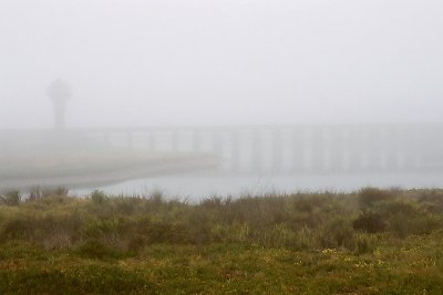 Foggy Morning at Los Peasquitos Marsh