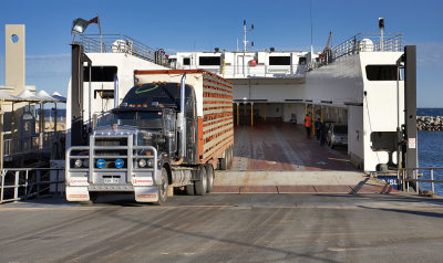 Loading the Ferry.jpg