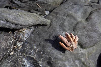 Dead Man's Hand.jpg
