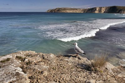 Pennington Bay_8.jpg