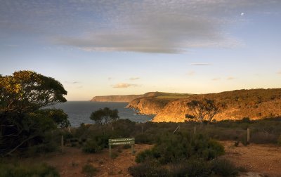 Scott Cove_3.jpg