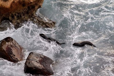 Cape du Couedic.jpg
