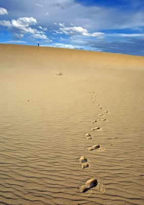 Little Sahara_7.jpg