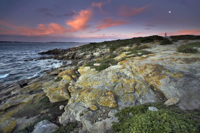 Point Ellan Sunset_2.jpg