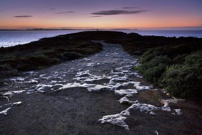 Point Ellen Sunrise_11.jpg